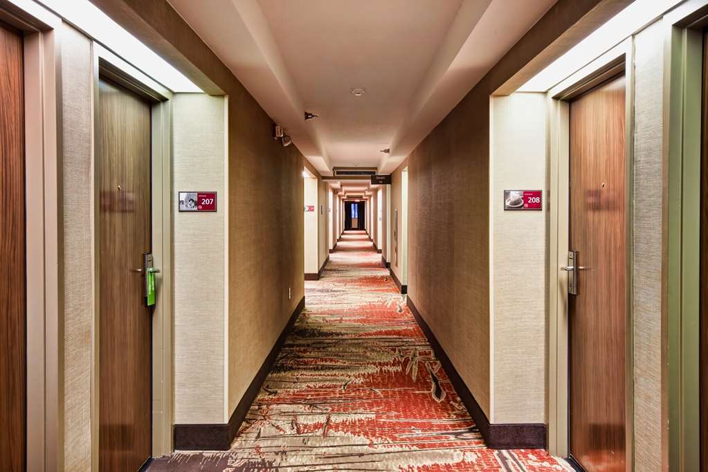 Hampton Inn Starkville Interno foto